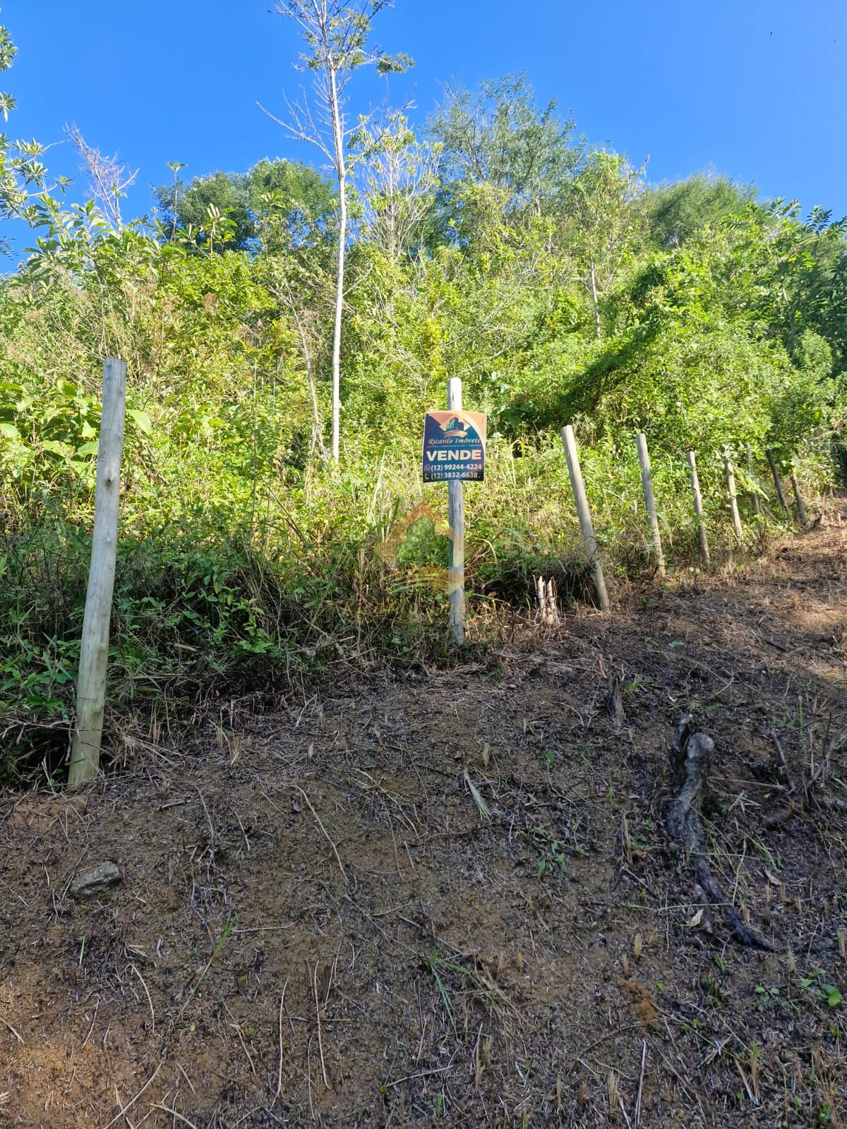 Terreno, 21 hectares - Foto 3
