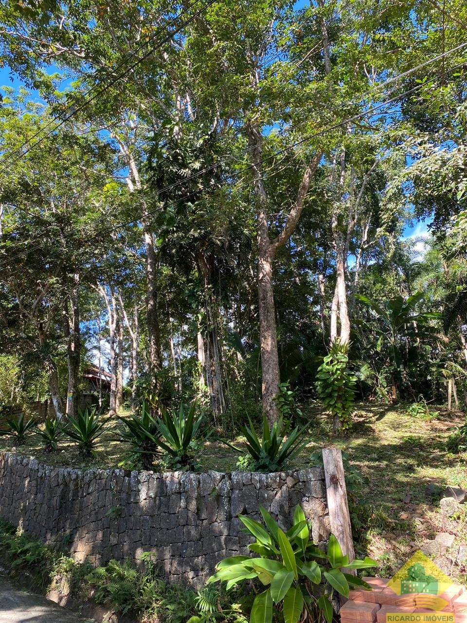 Terreno na Ponta Grossa com vista para o mar