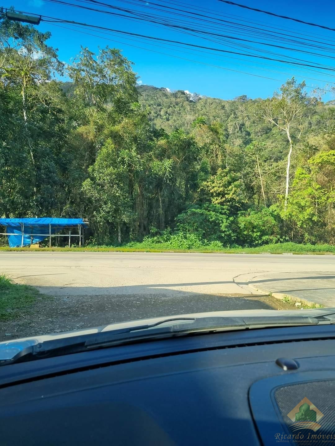 Área Verde no Horto Florestal