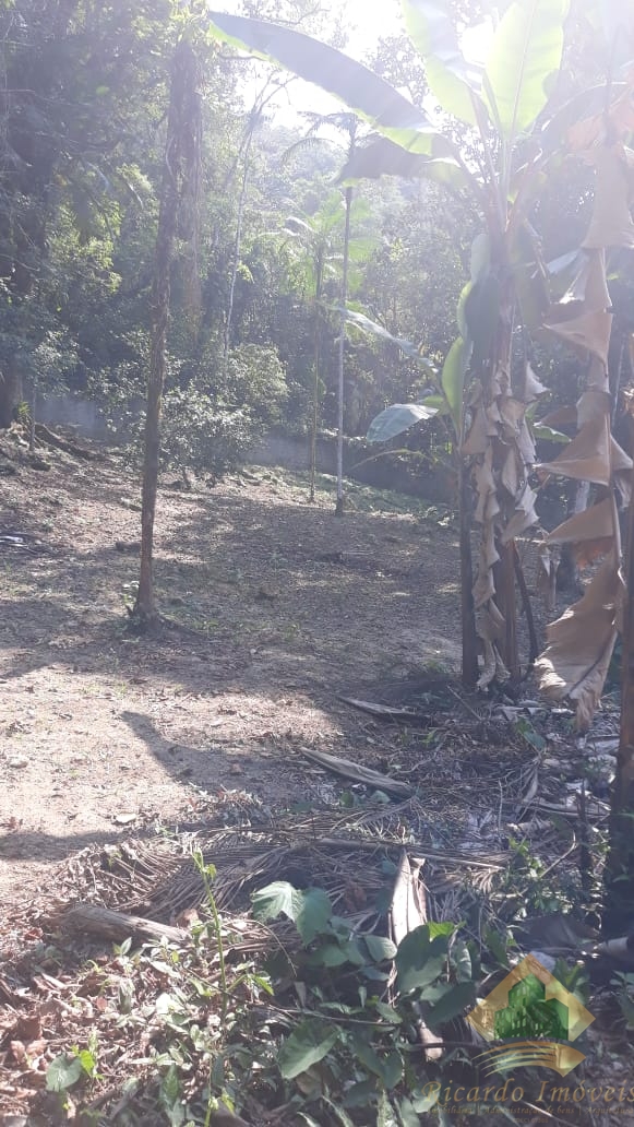 Excelente chacara c/ sobrado em meio a natureza a venda na rod osvaldo cruz - horto - ubatuba sp