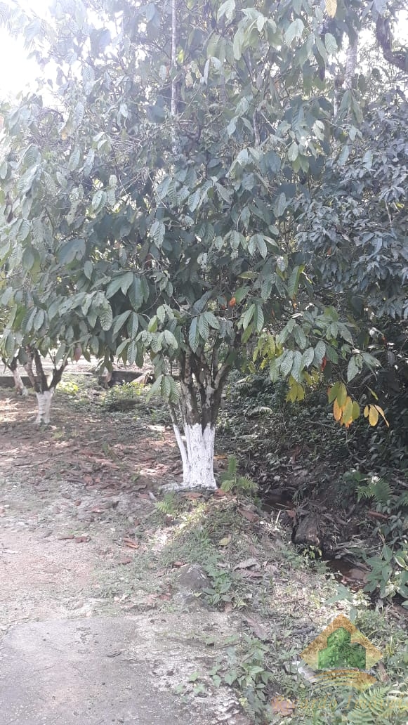 Excelente chacara c/ sobrado em meio a natureza a venda na rod osvaldo cruz - horto - ubatuba sp