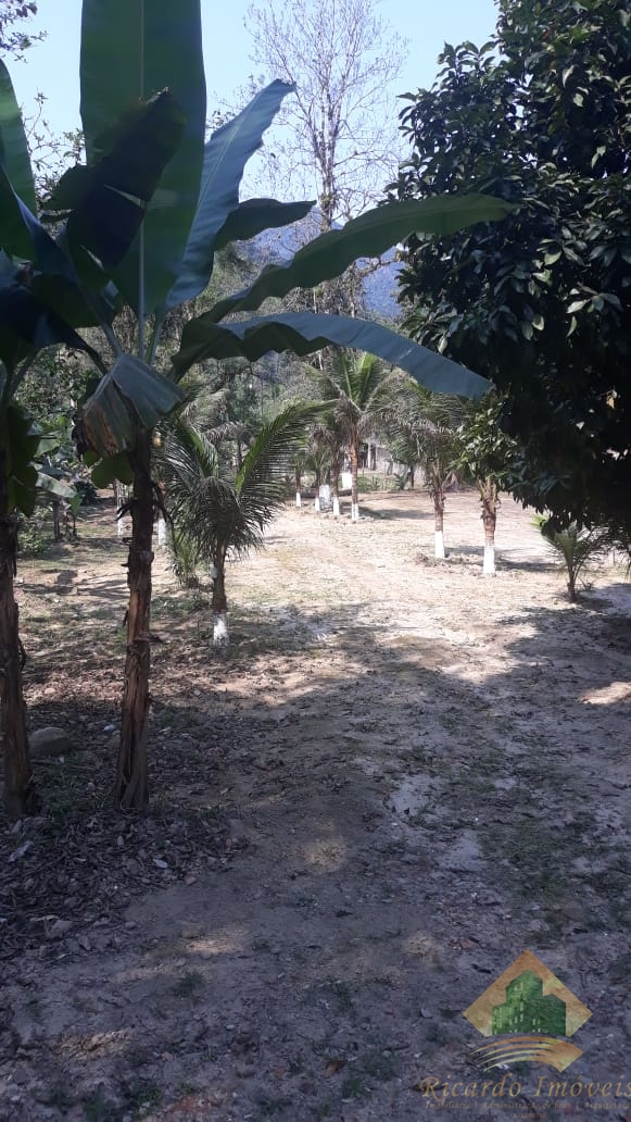 Excelente chacara c/ sobrado em meio a natureza a venda na rod osvaldo cruz - horto - ubatuba sp