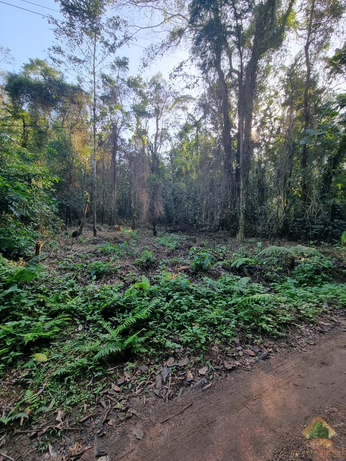 Área de 7.500 m² escritura definitiva