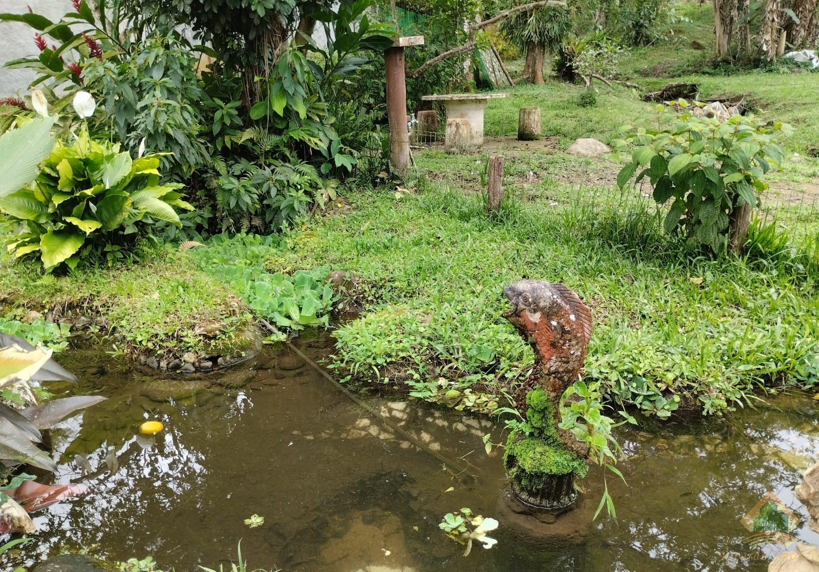 Casa rustica com 2 nacente, lago e jardins