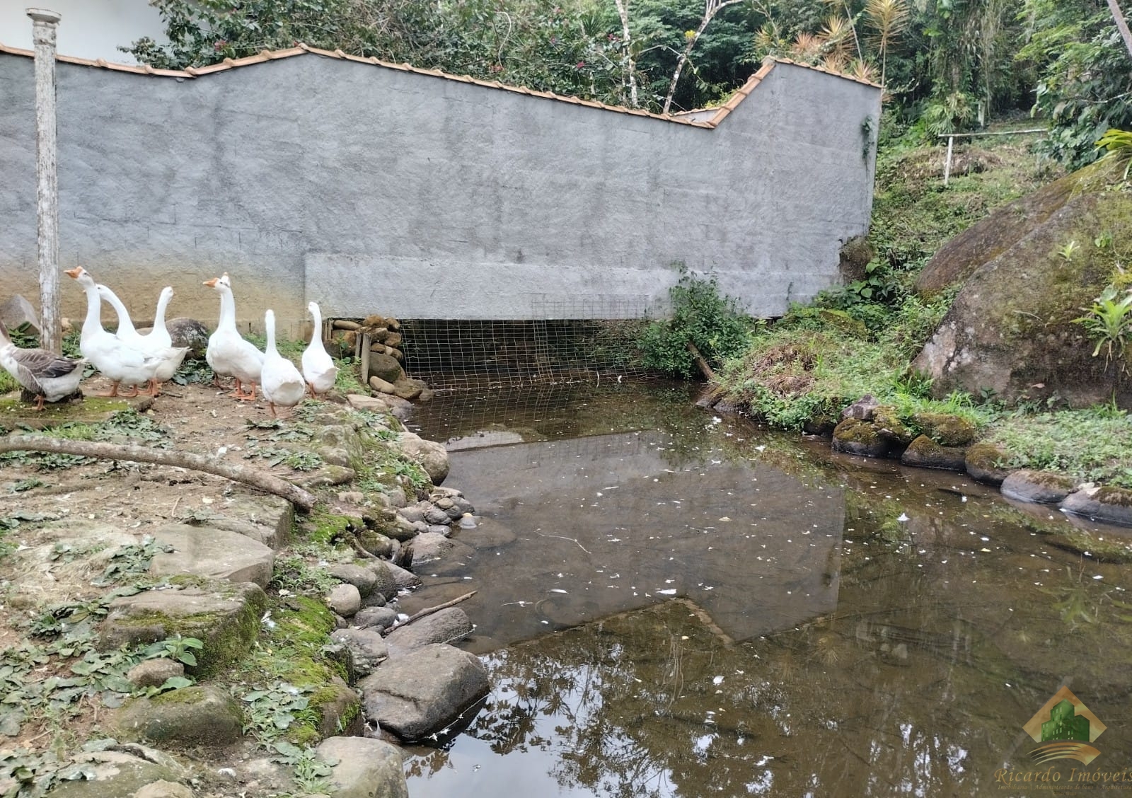 Casa rustica com 2 nacente, lago e jardins