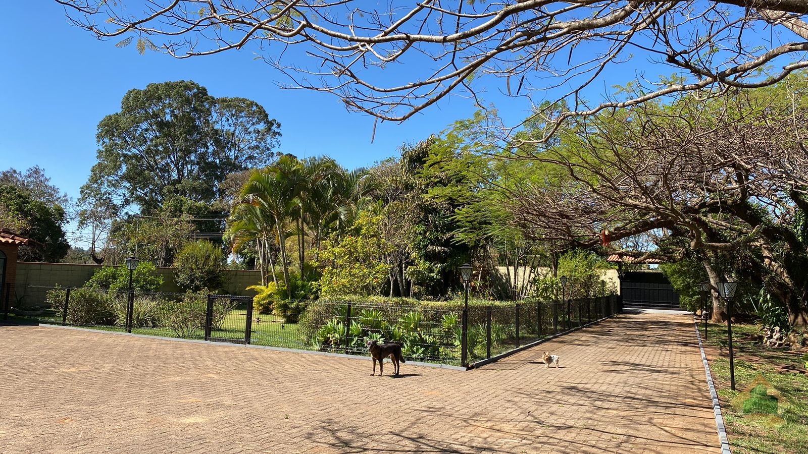 Chácara tibaia de são fernando 1 - foto 15