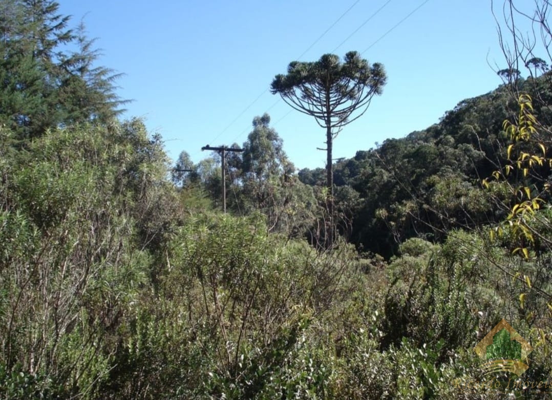 Oportunidade de área rural em cunha