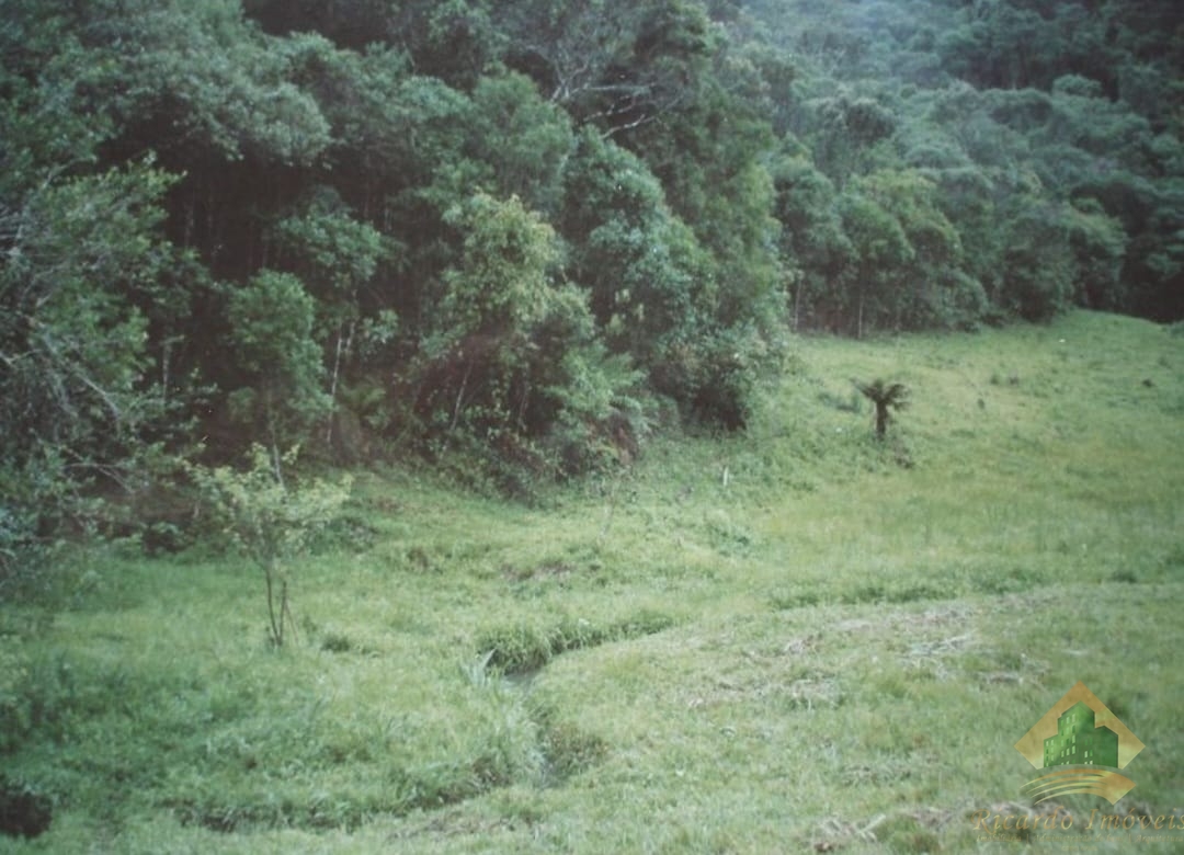 Oportunidade de área rural em cunha