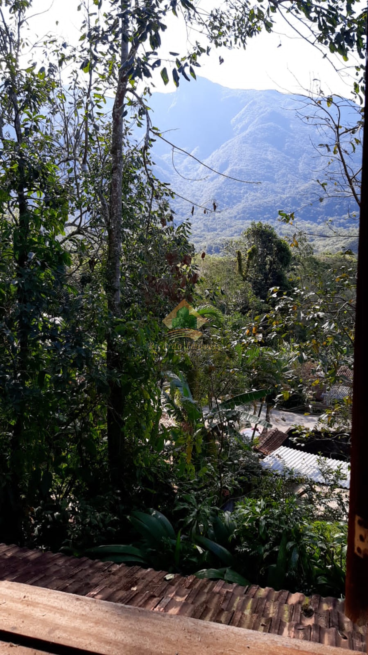 Casa, 3 quartos, 2000 m² - Foto 2