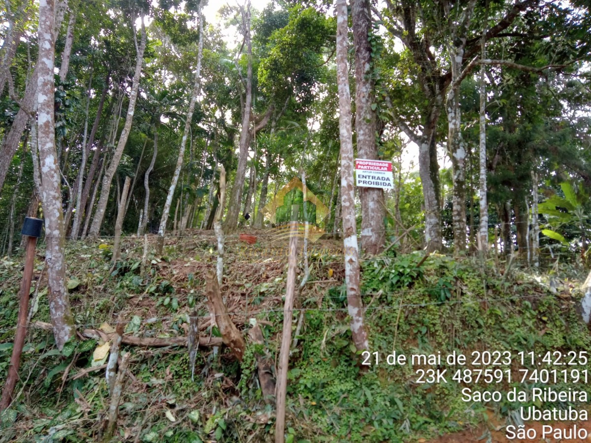 Linda vista da praia da enseada ubatuba sp